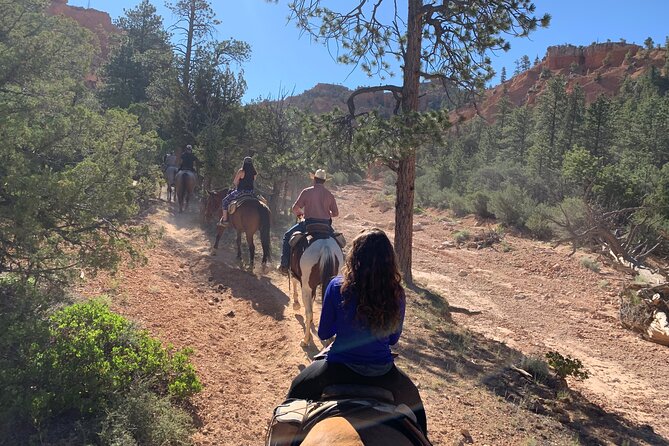 Rubys Horseback Adventures Utah Half Day Ride - Cancellation Policy and Weather Conditions