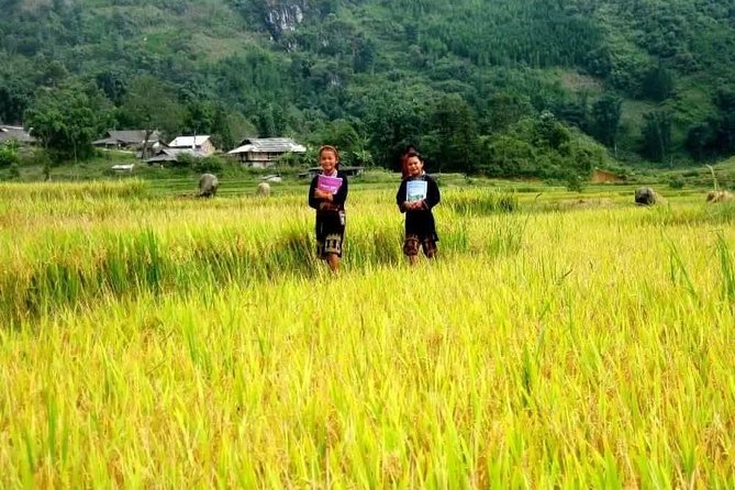 Sa Pa 2-Day Easy Trek and Homestay Bus Tour From Hanoi - Questions and Contact