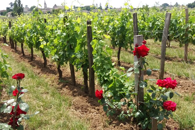 Saint Emilion Wine Tour Half Day - Cancellation Policy