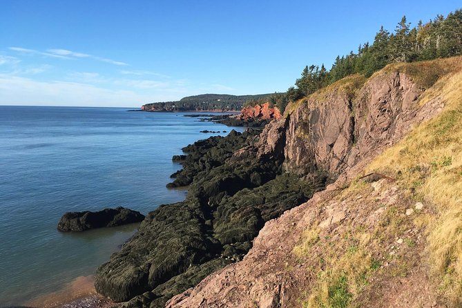 Saint John Cruise Ship Shore Tour to Bay of Fundy - Time-Saving Tips for Cruise Passengers