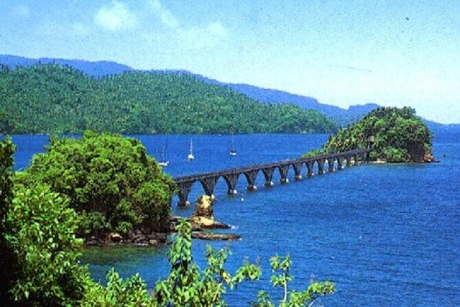 Samana Experience Day Trip - Authentic Reviews: Overall Rating and Breakdown