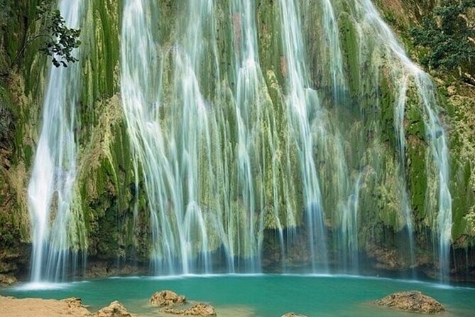 Samana-Whales Levantado Key - Limon Waterfall - Horseback Riding - Reviews