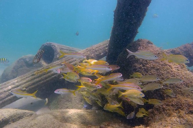 San Juan Guided Snorkel Tour - Cancellation Policy and Refund Options