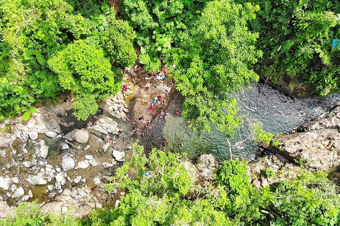 San Juan Small-Group Rain Forest Hike - Tour Questions and Information