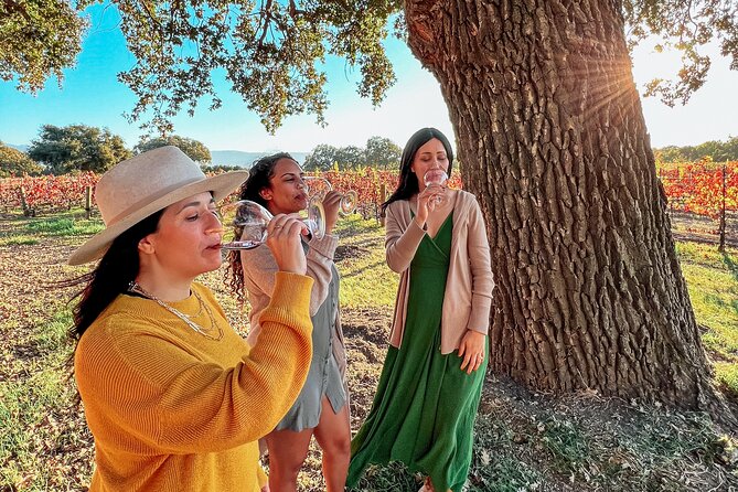 Santa Ynez Wine Country Shuttle - Contact Information