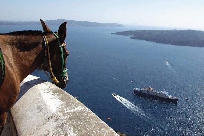 Santorini: Caldera Trail Guided Hike - What to Bring
