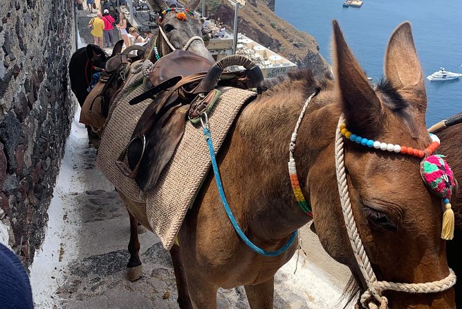 Santorini Local Life Full Day Tour - Indulging in the Flavors of Locally Made Wine