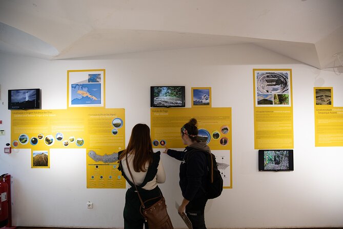 São Miguel Island Whale Watching and Lagoa Do Fogo Day Trip  - São Miguel - Meeting and Pickup