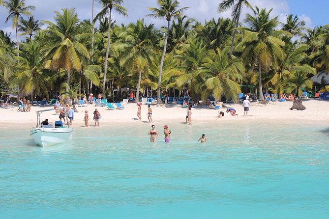 Saona Island Excursion by Catamaran and Speedboat - Catamaran and Speedboat Experience