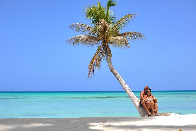 Saona Island Full Day Excursion From Punta Cana Catamaran Party - Safety Concerns and Suggestions for Improvement