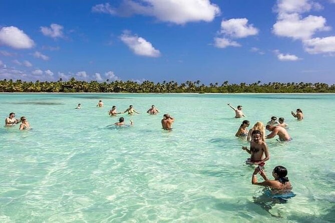 Saona Island Full-Day Tour With Lunch From Punta Cana - Customer Feedback and Viator Help Center