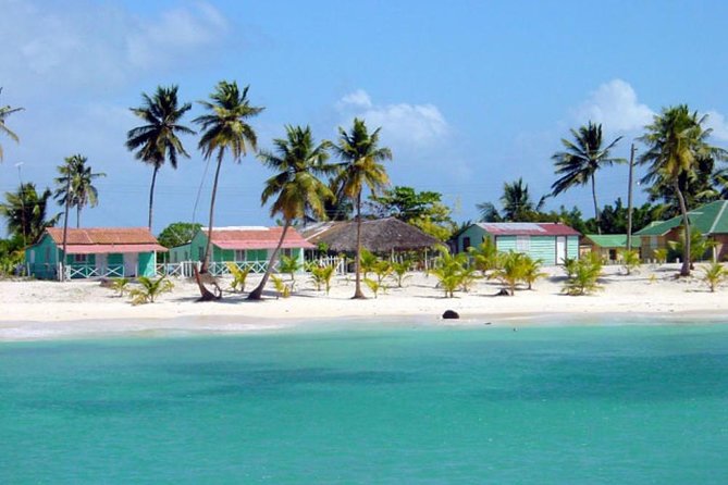 Saona Island VIP - Full Day Excursion - Questions