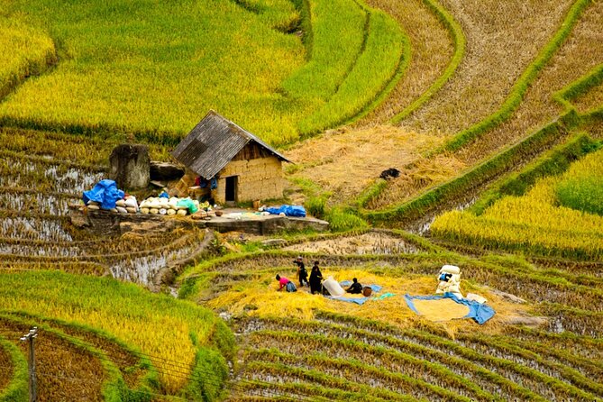Sapa Easy Trekking Villages 2 Days/1 Night Stay at Hotel, Meals, Tour Guide - Activities and Attractions