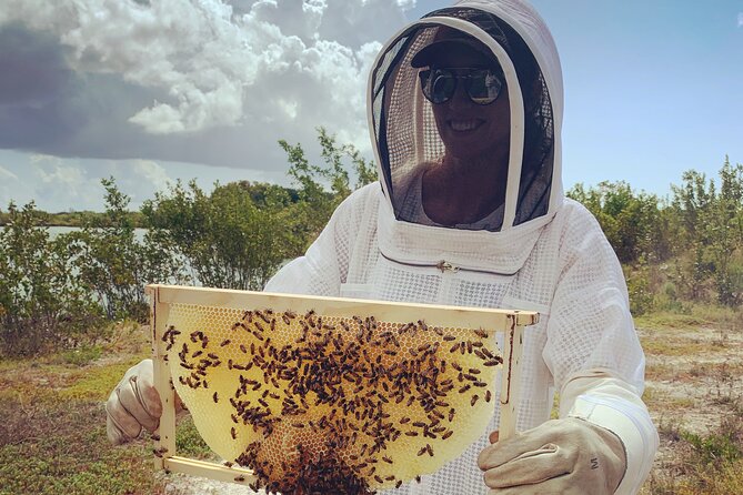 Savannah Small-Group Beekeeping Tour  - Grand Cayman - Meeting and Pickup Information
