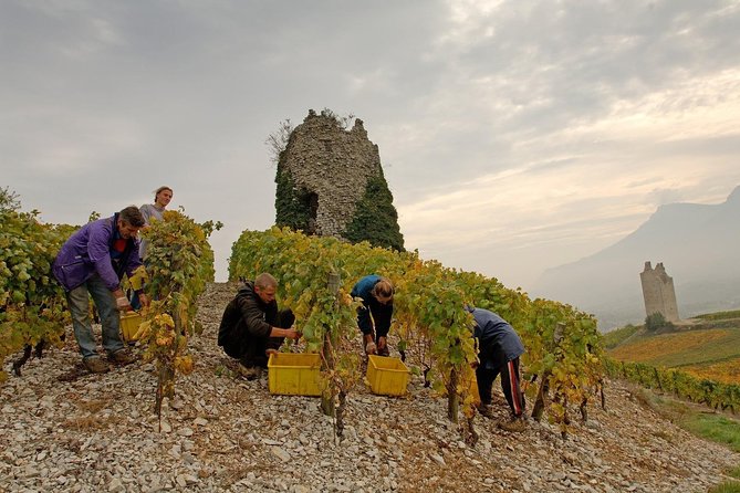 Savoyard Vineyards Tour (8 Hours) - Private Driver - From Annecy - Scenic Drive
