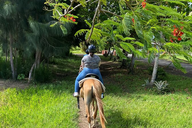 Scenic Horseback Riding Tour From San Juan - Common Questions