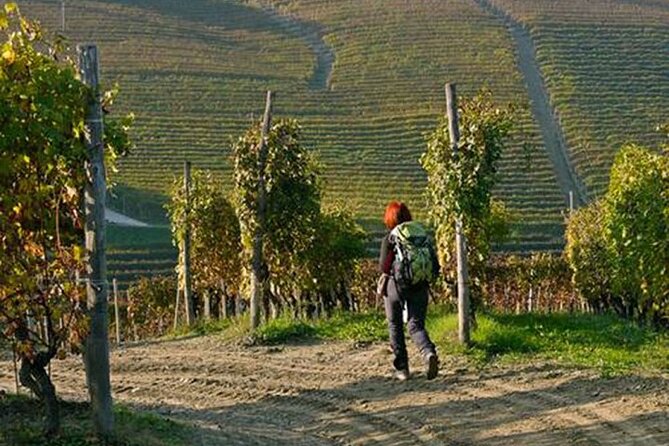 Scenic Langhe Hike and Wine Tasting From Alba  - Langhe-Roero and Monferrato - Cancellation Policy