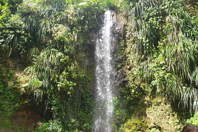 Scenic Tour of Soufriere - Reviews