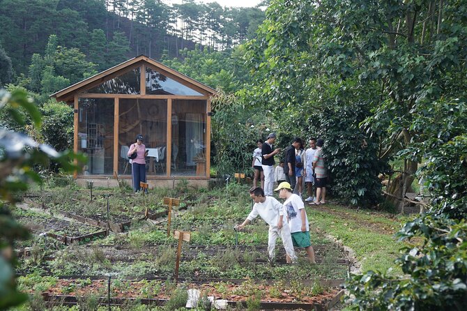 Scented Candle Workshop in Twin Beans Farm Da Lat - Additional Information