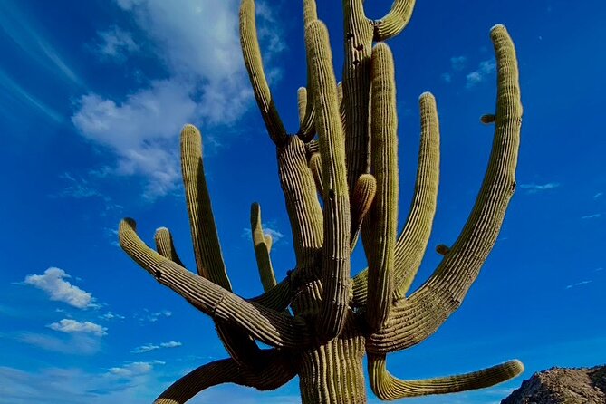 Scottsdale Desert Classic Hiking Adventure - Meet Your Guide at Gateway Trailhead
