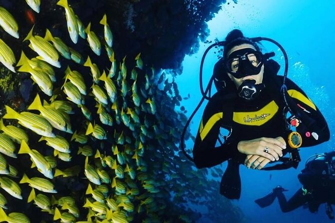 Scuba Diving Adventure in Dubai - Common Questions