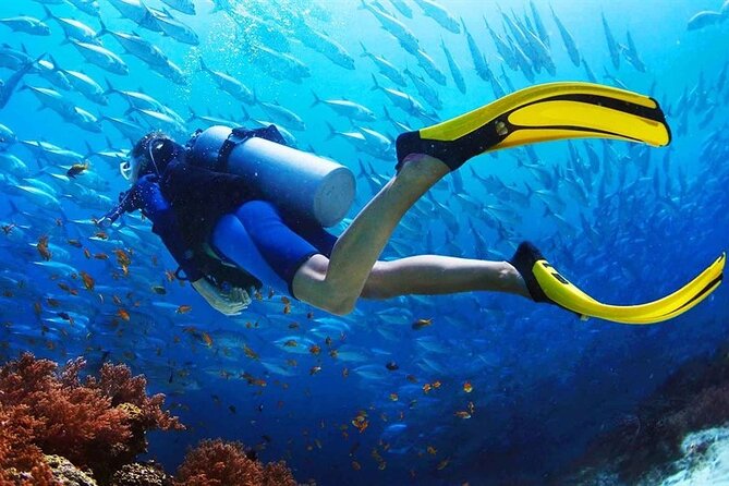 Scuba Diving at Jumeirah Dubai With Private Transfers - Additional Considerations and Tips