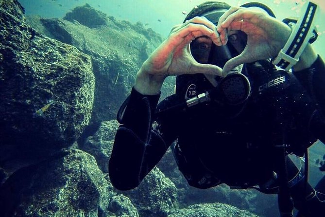 Scuba Diving Experience in Madeira - Meeting and Pickup