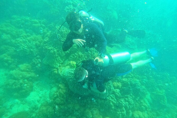 Scuba Diving for Certified Divers in Phu Quoc Island - Transportation and Accommodation Options for Divers