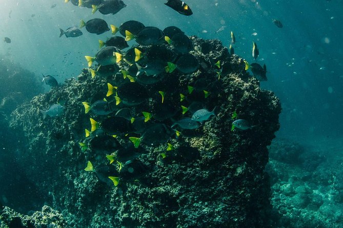 Scuba Diving Los Arcos - Important Information for Divers