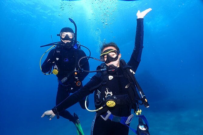 Scuba Diving Tour From Abu Dhabi to Dubai - Additional Information