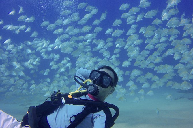 Scuba Diving - Visiting Famous Landmarks