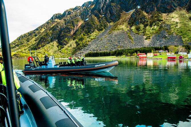Sea Eagle Safari From Svolvær to Trollfjorden - Authenticity of Reviews