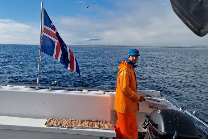 Sea Fishing Experience From Reykjavik - What to Expect During the Fishing Trip