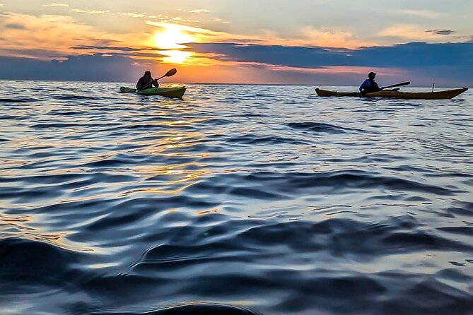 Sea Kayaking in Door County, Wisconsin - Wildlife and Nature