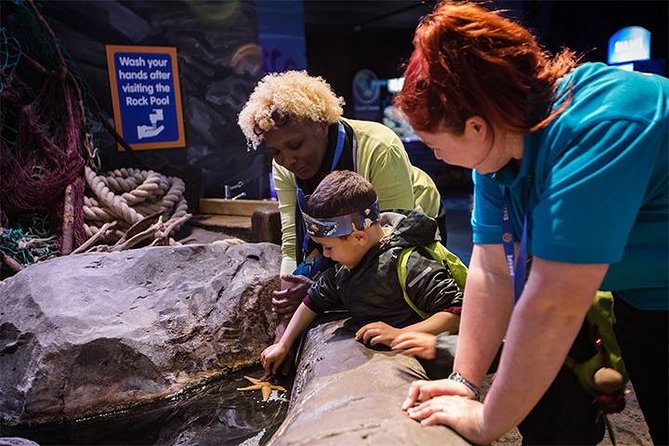 SEA LIFE Birmingham Admission Ticket - Reviews and Ratings