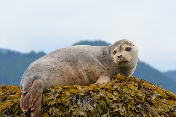 Sea Safari Tour From Vancouver - Directions