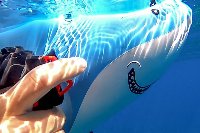 Sea Scooter Snorkel Tour - Reef Adventure With Turtles, Rays and Sharks - Common Questions