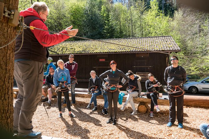 Seilpark High-Ropes Adventure Park Admission in Interlaken - Expectations and Accessibility