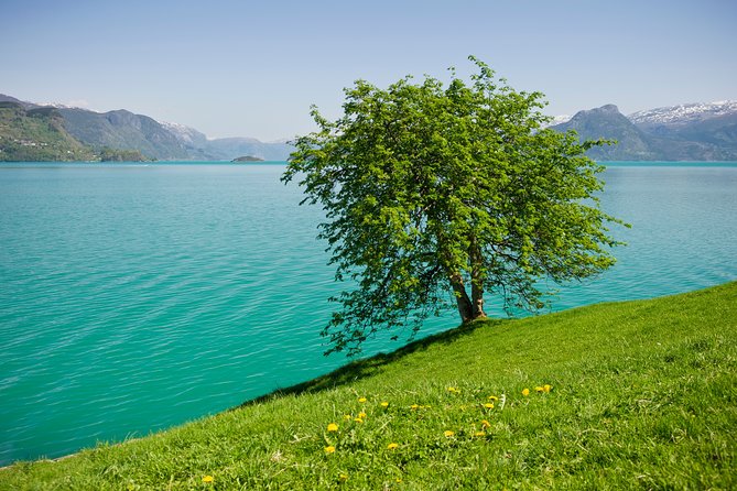 Self-Guided 22-Hour Round Trip From Oslo To Sognefjord With Flåm Railway - Cancellation Policy