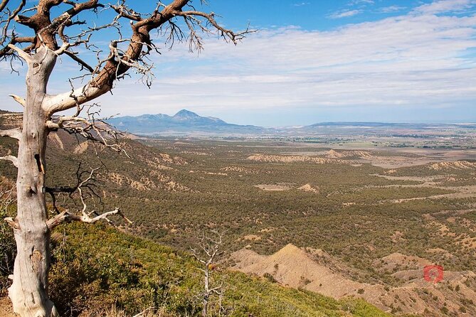 Self-Guided Audio Driving Tour in Mesa Verde National Park - Positive Reviews of the Tour