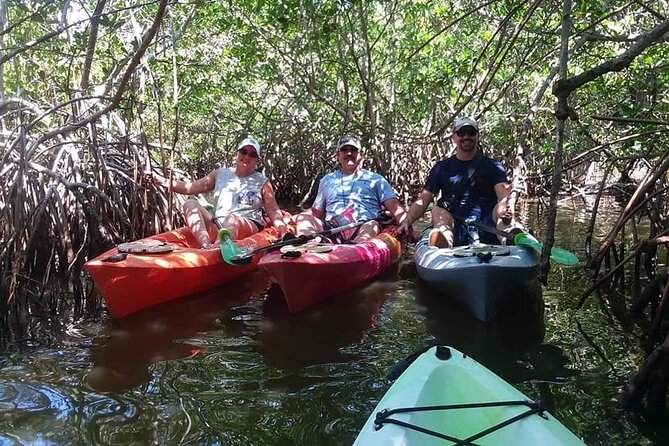 Self-Guided Kayaking Manatee and Dolphin Tour - Additional Information