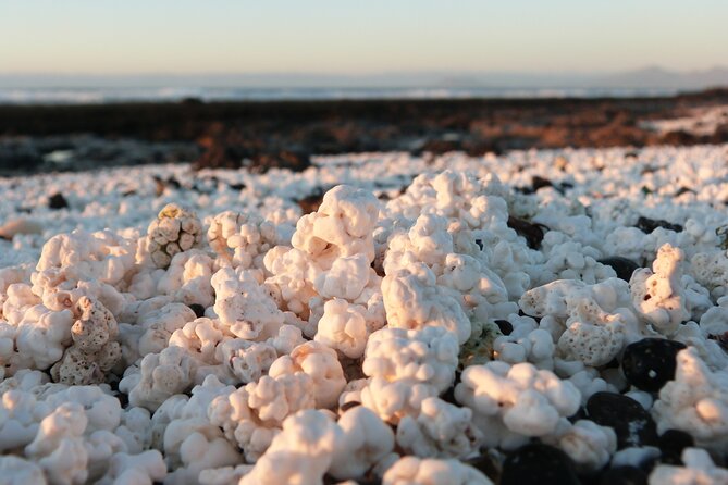 Selfguided Ebike Tour to Popcorn Beach and the Northern Volcanoes - Immerse Yourself in Natures Beauty