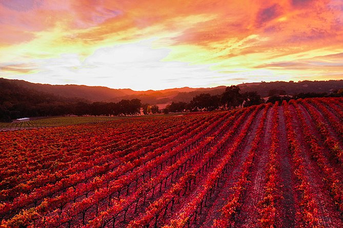 Semi-Private, Modified "Hop-On Hop-Off" Wine Tasting Tour From Paso Robles - Repeat Customer Discounts and Programs