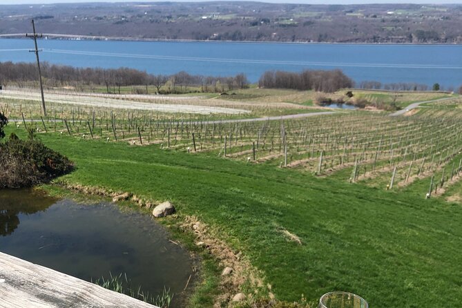 Seneca Lake South Wine Tastings Tour - Common Questions