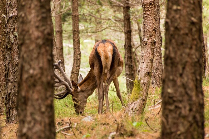 Serra Da Lousã Private Half- or Full-Day Tour From Coimbra - Meeting, Pickup, and Cancellation