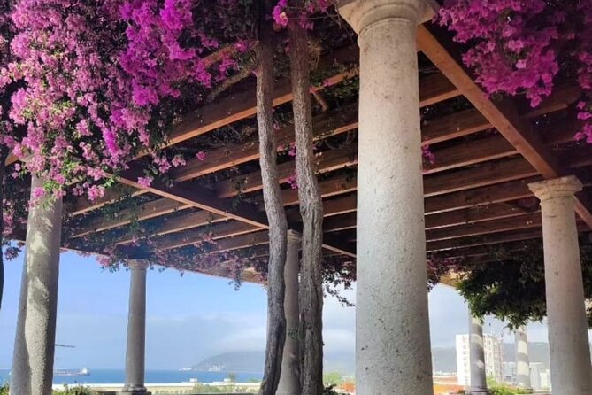 Setúbal: Private Walking Tour - Pricing and Additional Information