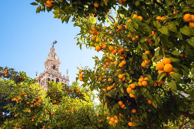 Sevilla Centre: Self-Guided City Walking Tour With Audio Guide - Additional Information