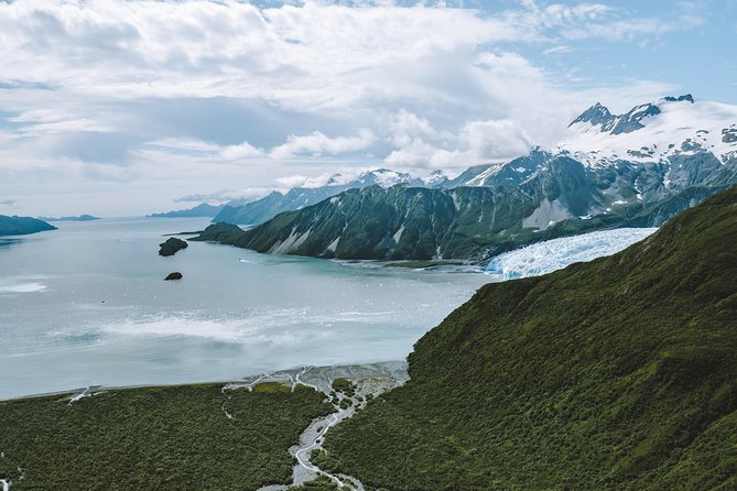 Seward to Kenai Fjords and Chugach Forest: 1-Hour Flight Tour - Possible Wildlife Sightings and Natural Wonders