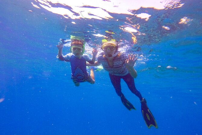Shared 2 Hours Sosúa Bay Snorkeling With Professional Guide - Common Questions