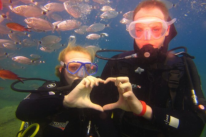 Shared Scuba Diving Under Water Museum - The Sum Up